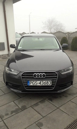 Audi A4 cena 47500 przebieg: 251000, rok produkcji 2012 z Gostyń małe 37